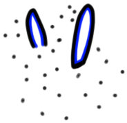 Image of the occurrence